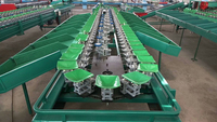 Goede Prijs Automatische Fruit En Groente Gewicht Sortering Machine Auto Sorteerder Grader Van Groenten En Fruit Te Koop