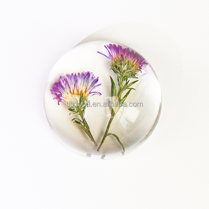 Hojas de plantas personalizadas en espécimen de resina, pisapapeles de cristal transparente para niños, Colección educativa para profesores de ciencias biológicas - Product Image 4