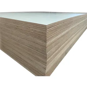 Factory Price Construction Use 1220*2440*18mm WBP Glue Film Faced Plywood