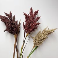 Vente en gros blanc beige brun Astilbe fleur herbe de pampa vintage romantique grande herbe de pampa artificielle pour la décoration de mariage