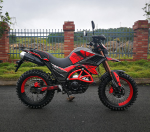 FUEGO <strong>TEKKEN</strong> 250 Cheap for Sale <strong>250cc</strong> All Terrain <strong>Motorcycle</strong> 11190125 - Product Image 3