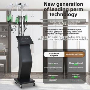 Nouveau Système de Permanente Numérique Intelligent Infrarouge Double Mode 24V Portable Ivan Buffy à Double Cœur et Température Constante - Product Image 4