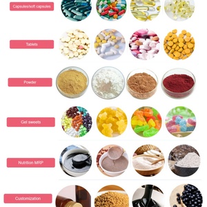 Suplemento Nutricional Deportivo HMB en Polvo con Calcio, Sin Gluten, Marca Blanca OEM para Apoyo Muscular - Product Image 6