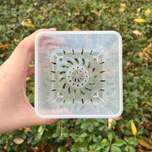 Vaso di plastica trasparente <span class=keywords><strong>per</strong></span> la casa, - Product Image 3