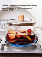 Pot en verre borosilicate de haute qualité à double poignée, sans revêtement, design épuré – Compatible avec les plaques de cuisson électriques et céramiques à flamme directe
