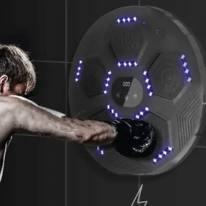 ZT New Hot Sale Smart Boxing Target Wall Mount Boxing Reaction Target Sports Equipment