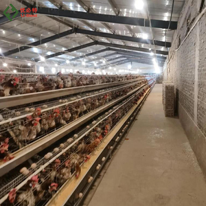 Jaula para Gallinas Ponedoras Comercial, Nueva, Automática, Tipo <span class=keywords><strong>H</strong></span>/A, de Acero Galvanizado por Inmersión en Caliente, Antioxidante - Product Image 2