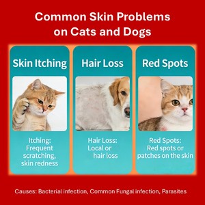 Pevet Anti-Démangeaisons Soft Chews pour Chiens <span class=keywords><strong>Antifongique</strong></span> Antibactérien pour la Perte de Poil, les Rougeurs, les Desquamation, les Croûtes, la Teigne – Fini les Démangeaisons - Product Image 5