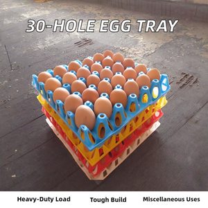 بالجملة صينية بيض الدجاج البلاستيكية عالية الجودة 30 حفرة صينية نقل بلاستيكية لبيض الدجاج الموردين - Product Image 2