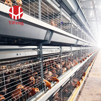 Cage à poulets de chair en batterie de type H, 4 niveaux, alimentation et abreuvement automatiques, abreuvoir à tétine, certifiée CE, avec courroie de fumier en acier galvanisé