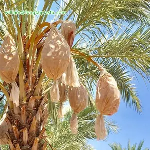 لونتاي-حقيبة ظهر من البلاستيك لحديثي الولادة, حقيبة من البلاستيك لحديثي الولادة ، مصنوعة من مادة البولي إيثيلين لحماية الوقت والتاريخ