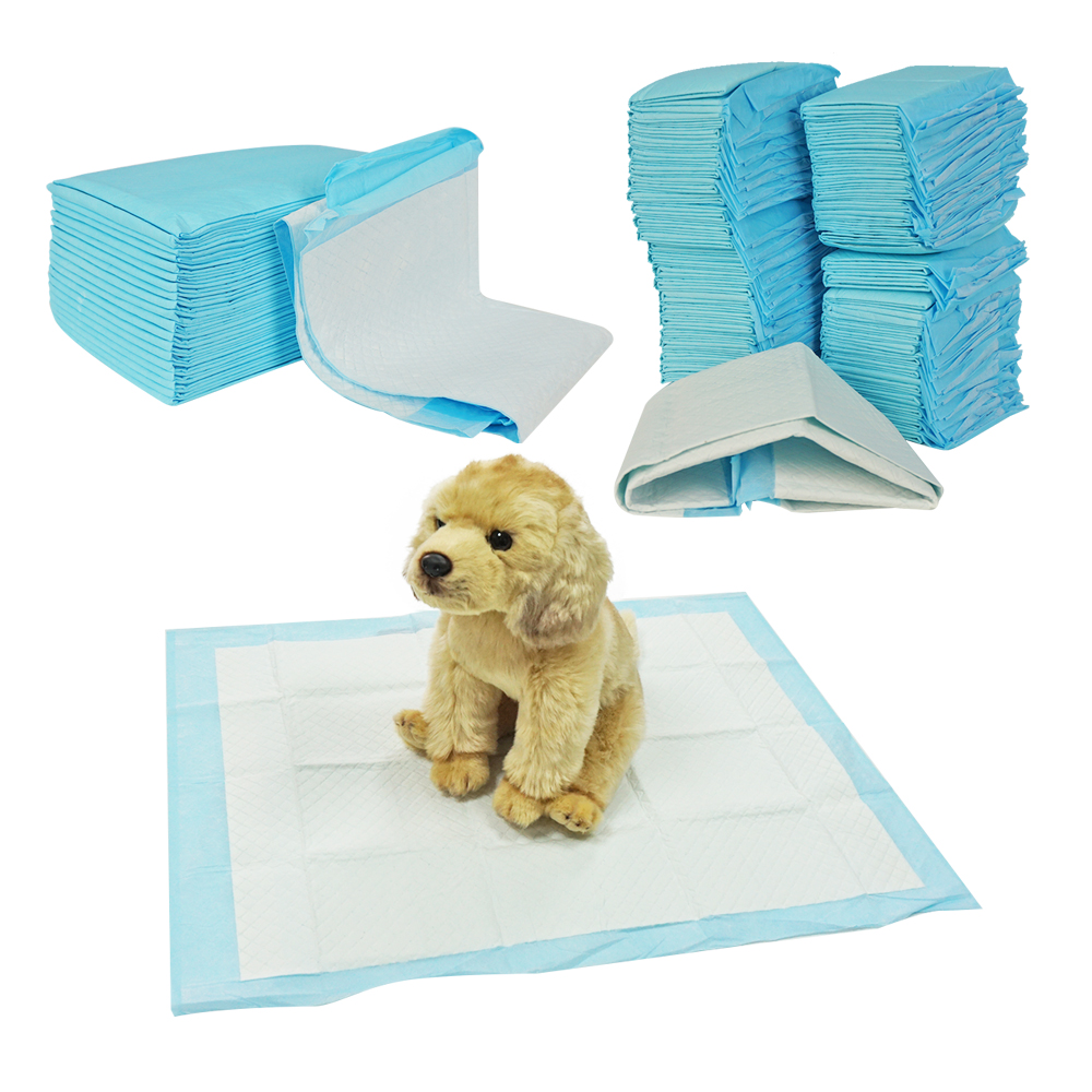 Do Dogs Pee During Labor