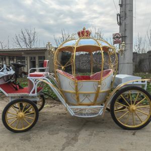 Carruaje de Goma de Cuatro Ruedas para Conducir con Caballos, Modelo Victoria, para Alquiler - Product Image 5