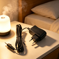 Yüksek Kaliteli AC DC 12V 1A 12W EU Fişli CE Sertifikalı Aroma Difüzörü için Güç Adaptörü
