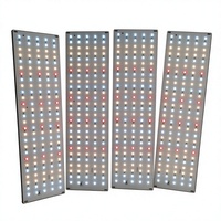 Barre de culture LED à spectre complet personnalisée, longue, rouge, blanche, bleue, avec substrat en aluminium pour la culture de semis de plantes d'intérieur
