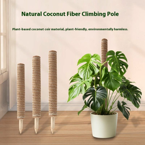 Piquets de soutien carrés en fibre de coco pour plantes <span class=keywords><strong>Monstera</strong></span>, pour plantes grimpantes en pot, intérieures et extérieures, pour la maison et le jardin - Product Image 2
