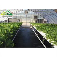 Système hydroponique multi-couches en tuyaux PVC, en promotion |   Solution de serre modulaire pour la culture verticale de fraises et d'herbes