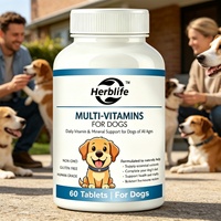Vente en gros d'usine OEM Personnalisé Soins de santé Multivitamines Universelles Comprimés Multivitaminés pour Chiens et Chats Complément Nutritionnel