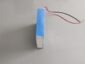 Batería de Iones de Litio LFP19.2V12AH 230WH para Dispositivos Robóticos - Product Image 2