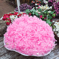 Vente en gros d'usine : Hortensias artisanaux séchés pour DIY, matériaux de bricolage, longue durée (3-5 ans), hortensias préservés pour Noël