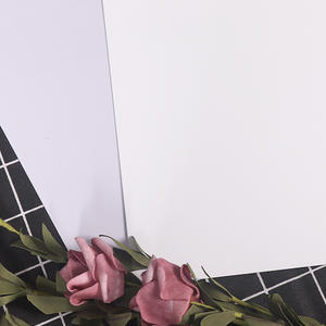 Plaque en étain UV blanche Sublimation plaque métallique signe blanc métal voiture plaque d'immatriculation bricolage consommables d'impression personnalisés - Product Image 6