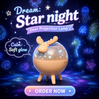 Lampe projecteur d'étoiles à LED pour la chambre à coucher Veilleuse couleur chaude alimentée par batterie 5V pour la chambre à coucher