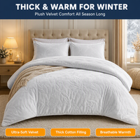 Lot de 3 pièces de literie d'hiver douce et épaisse en velours 100 % polyester, ensemble de couette unie surdimensionnée