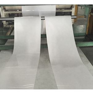 PP konveyör bant kanatlı gübre kemer kanatlı ekipmanları tavuk <span class=keywords><strong>Coop</strong></span> tavşan kafesi taşıyıcı bantlar ile kaliteli - Product Image 5