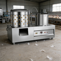 Plumeuse à volailles pour l'élevage de poulets |   Équipement d'épluchage des plumes pour l'élevage de poulets, directement de l'usine