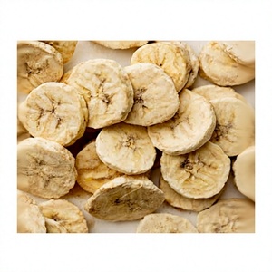 Premium Freeze Dried Banana Slices Bulk Packaging Natural Tropical Fruit Snack Crispy Texture for Retailers Importers - Product Image 1