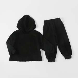Nouvelle tendance Vêtements pour enfants Ensemble costume Sweat à capuche et pantalon deux pièces pour bébés Ensembles de vêtements pour enfants - Product Image 3