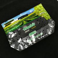 Milieuvriendelijke Antifog Zip Lock Voorraad Vers Fruit En Groenten Druivenfruit Verpakkingstas
