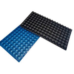 Barquettes <span class=keywords><strong>de</strong></span> <span class=keywords><strong>semis</strong></span> en plastique épaissies <span class=keywords><strong>de</strong></span> couleur bleue résistantes aux hautes températures, 128 cellules rondes, pour le marché philippin - Product Image 3