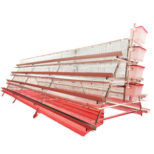 Gran oferta, Canal blanco, <span class=keywords><strong>aves</strong></span> <span class=keywords><strong>de</strong></span> <span class=keywords><strong>corral</strong></span> galvanizadas en caliente con 4 niveles, 4 niveles, capa A, tipo jaula para pollos a la <span class=keywords><strong>venta</strong></span> - Product Image 4