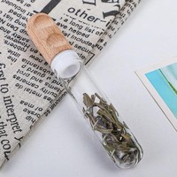 Infusor de Té de Vidrio Borosilicato Ecológico Resistente al Calor, Malla Fina, para Teteras, Tazas y Botellas, Ideal para Té de Hojas Sueltas