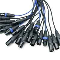 Boîtier de scène audio professionnel 12x4 XLR, câble multicore blindé robuste pour caméra, voiture, tournée, performance en direct