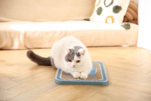 Rascador para Gatos Resistente con Diseño Impreso 'Catching of the Day' 43X32X2.2CM, Almohadilla de Rascado de Papel Corrugado para Gatos - Product Image 4