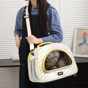 New Reptile Portable Travel Bag Foldable Transparent Parrot Small Pet Carrying Bag Bird Travel Carrier - Product Image 6