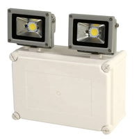 Lumière de secours LED rechargeable à double projecteur IP65 Blanc froid 20W Plus de 3 heures de durée