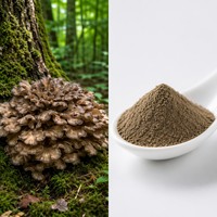 Poudre d'extrait de champignon Maitake naturel 30% polysaccharides