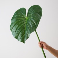 Simulation Grande Feuille Sensation Film Velours Vert Fleur Artificielle Feuille De Lotus Plante Verte pour La Maison De Mariage ou Décoration De Paysage