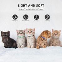 Nouveau collier réfléchissant en PP pour chat – Confortable, respirant, imperméable, durable, avec boucle anti-chute, conçu pour ne pas accrocher la fourrure des chats