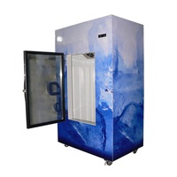 Congélateur vitrine à porte simple personnalisé, refroidissement par ventilateur, en acier inoxydable, 5 étoiles, à faible consommation d'énergie, pour usage commercial intérieur