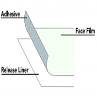 Película de protección transparente autoadhesiva PE/PET para vidrio y ventanas