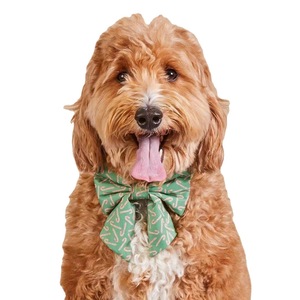 Arnés de Seguridad para Mascotas, Correa y Pañuelo, Set de Accesorios para Perros - Product Image 1