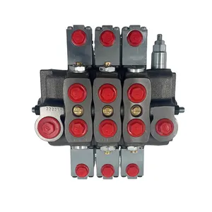 China Manufacture Good Quality Electric Hydraulic Sectional Control Valve SN-3/2S For YOULI