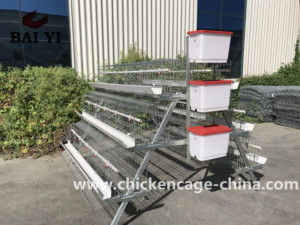 Cage à poules à étages de type A, cages à batterie pour le Sri Lanka - Product Image 2