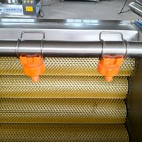 Machine de nettoyage commerciale à rouleaux brosse pour légumes-racines (pommes de terre, carottes, patates douces, manioc, gingembre)