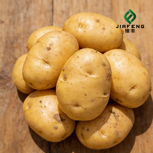 Pommes de terre fraîches réfrigérées biologiques du Shandong, allongées, 55 cm, 0,1 kg, contenu pur, sans additifs, marque Heli, prêtes à consommer - Product Image 1