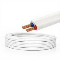 BVVB Flaches PVC-Hauskabel 2x1,5-10mm² Kupferleiter Elektrokabel für Oberflächenverlegung und Gebäudeinstallation